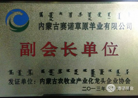 內(nèi)蒙古農(nóng)牧業(yè)產(chǎn)業(yè)化龍頭企業(yè)副會(huì)長單位